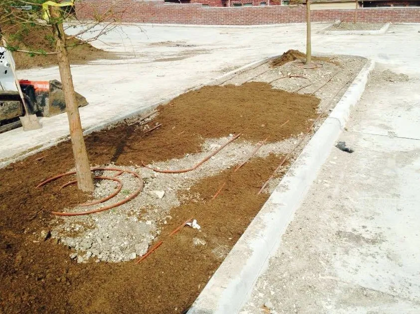 Local residential landscaping in Little Elm, TX by Texas Rainman