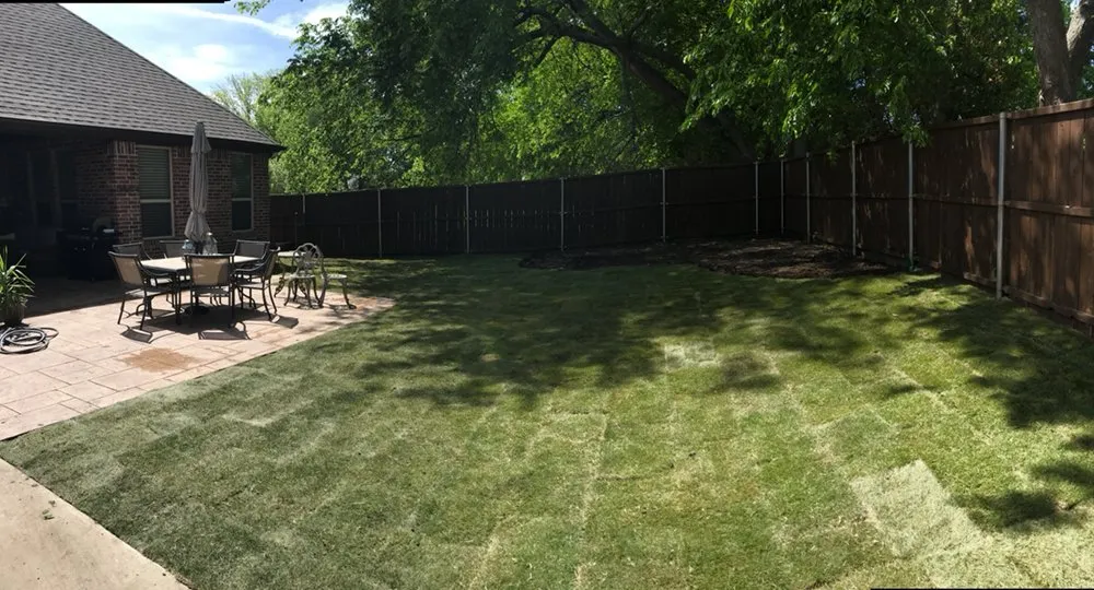 Top-rated yard maintenance experts serving Little Elm, TX - Texas Rainman