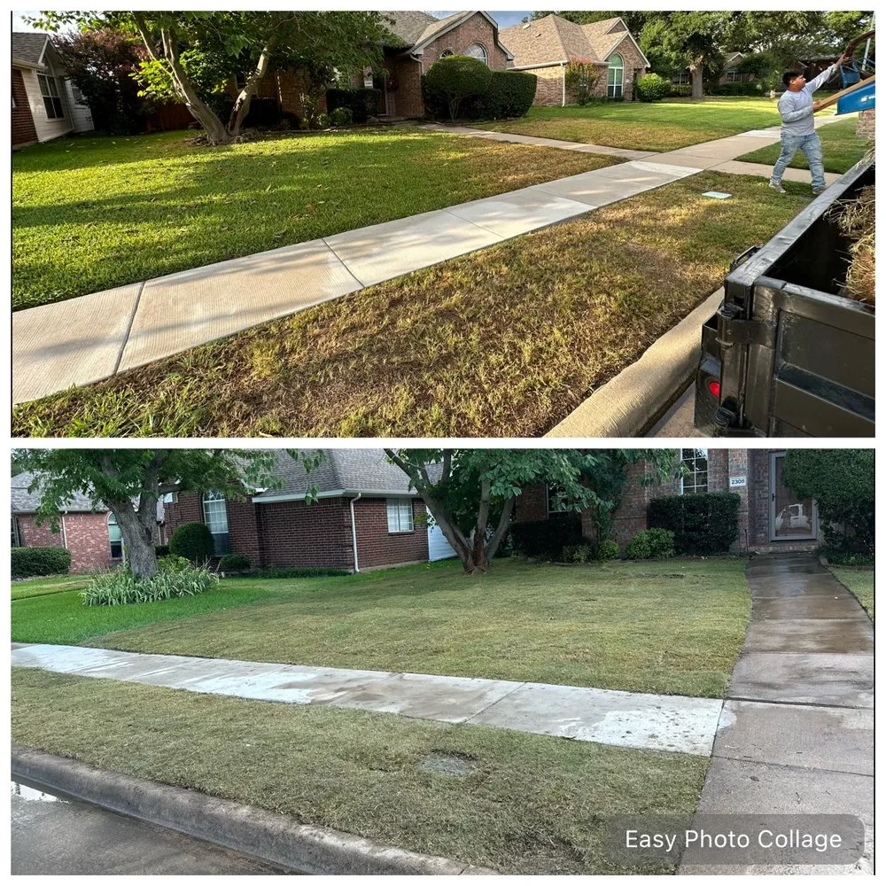 Trusted yard cleanup service in Lucas, TX by Texas Ranch Landscaping & Irrigation