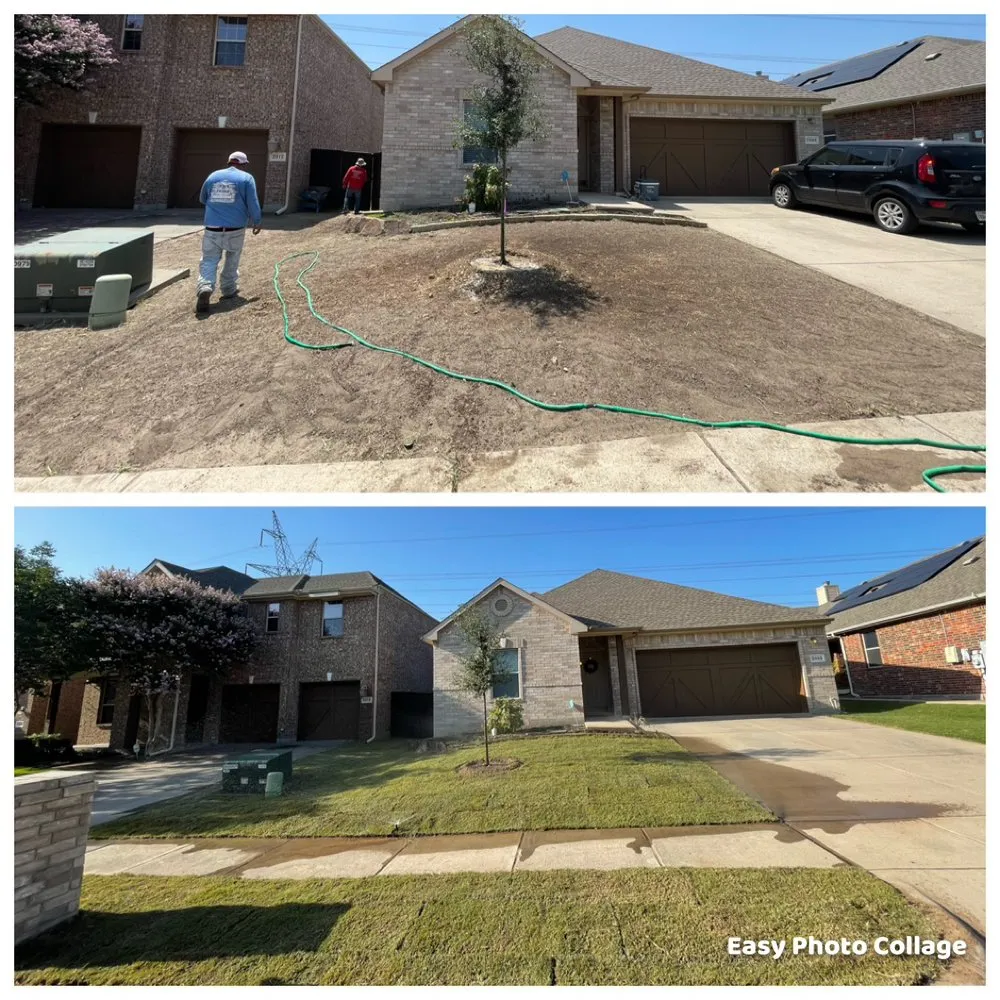 Affordable residential landscaping experts serving Lucas, TX - Texas Ranch Landscaping & Irrigation