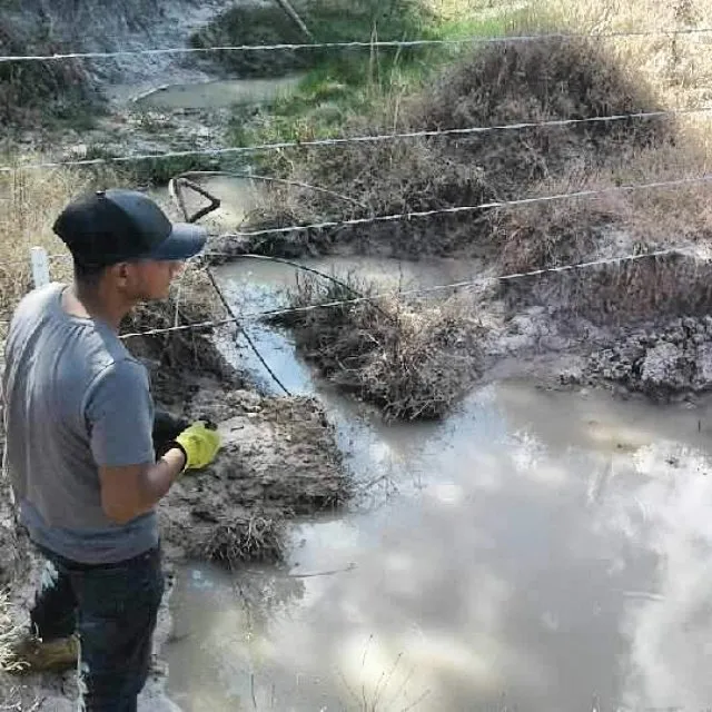 Affordable yard cleanup service in Chappell Hill, TX - Texas Ranch Manager