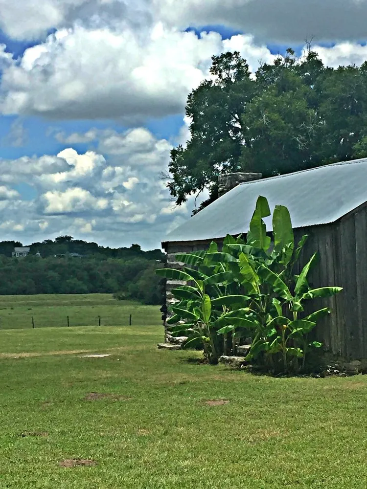 Reliable yard maintenance for residential properties across Chappell Hill, TX - Texas Ranch Manager