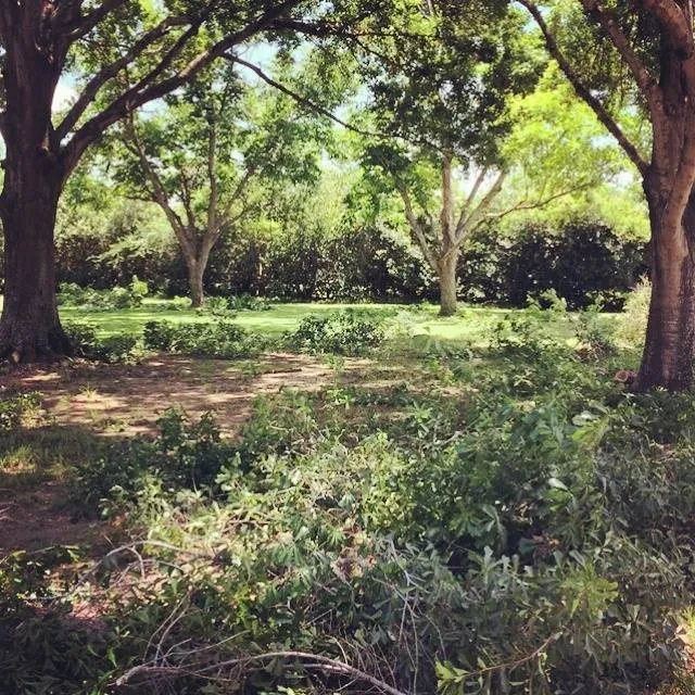 Reliable landscape installation in Chappell Hill, TX by Texas Ranch Manager