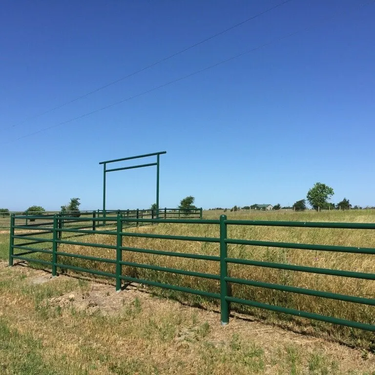 Trusted yard maintenance in Chappell Hill, TX by Texas Ranch Manager