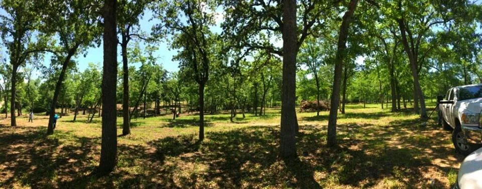 Reliable yard cleanup service in Chappell Hill, TX by Texas Ranch Manager