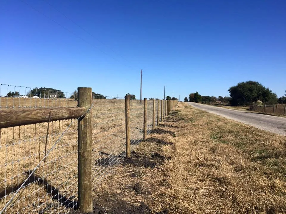 Trusted lawn care service in Chappell Hill, TX - Texas Ranch Manager