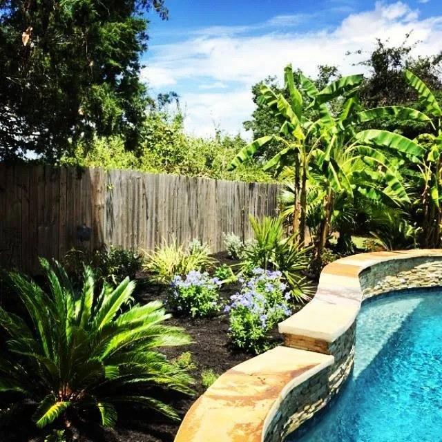 Affordable yard cleanup service in Chappell Hill, TX - Texas Ranch Manager