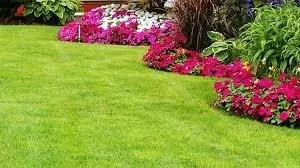 Reliable landscape installation experts serving Mission, TX - Texas RGV Landscape