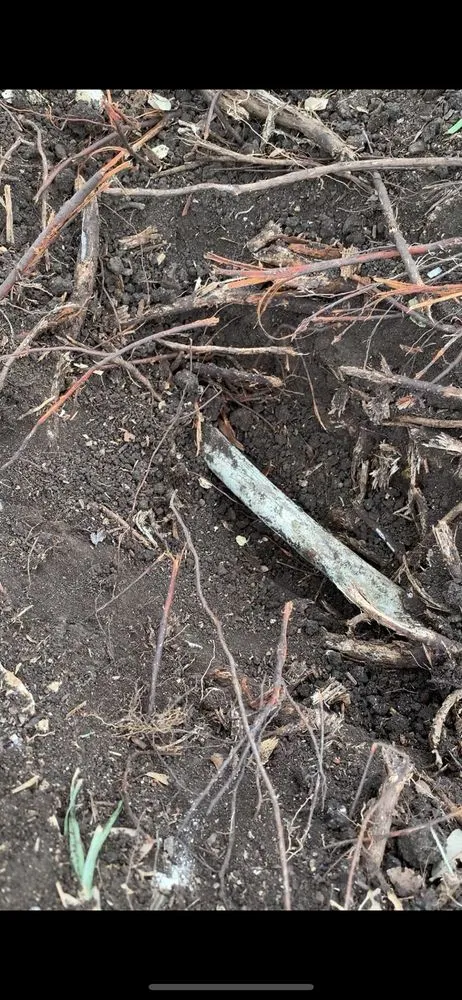 Local garden landscaping experts serving San Antonio, TX - Texas Roots Landscape & Irrigation