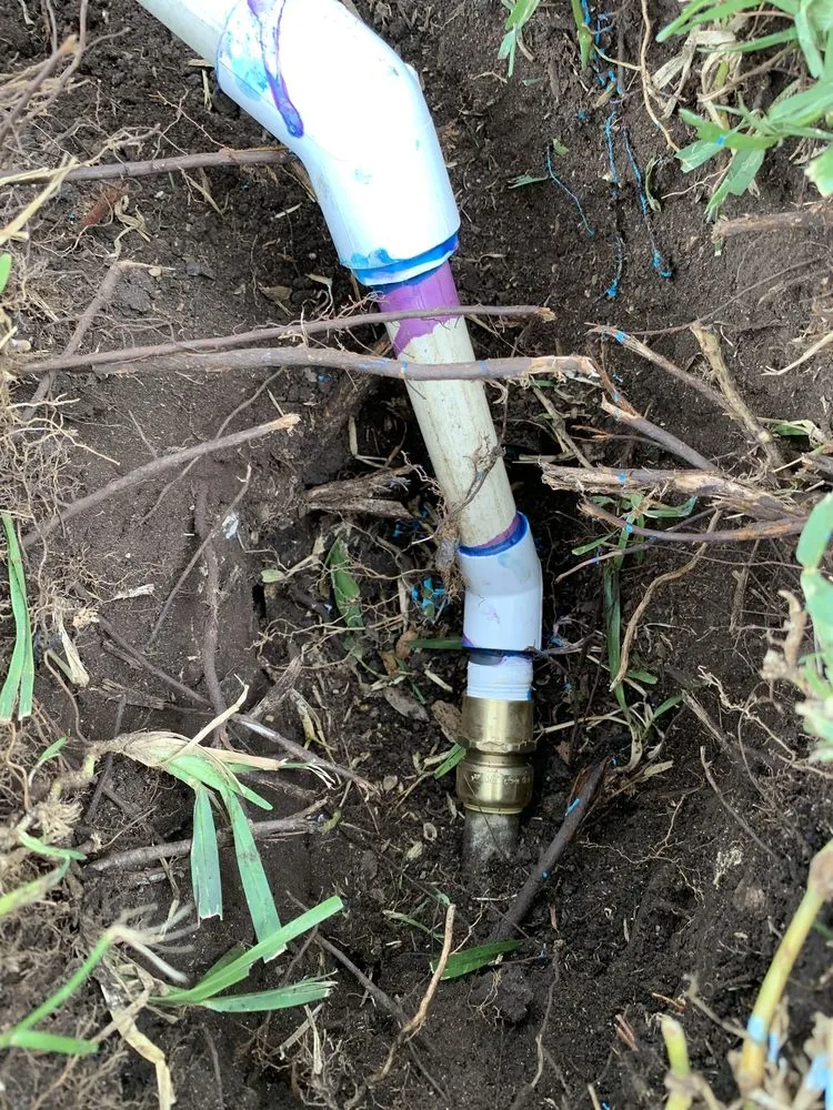 Reliable residential landscaping in San Antonio, TX by Texas Roots Landscape & Irrigation