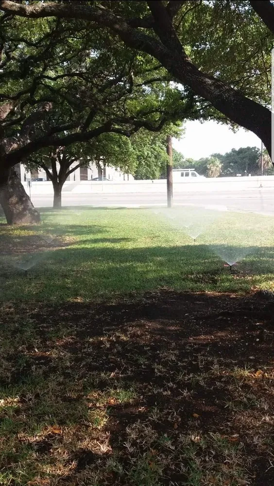 Custom garden landscaping experts serving San Antonio, TX - Texas Roots Landscape & Irrigation