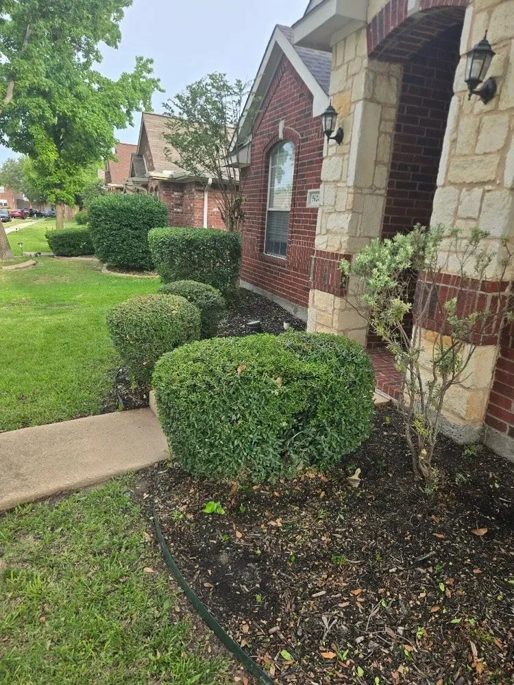 Professional outdoor landscaping in Dallas, TX by Texas Sage Landscaping & Lawn