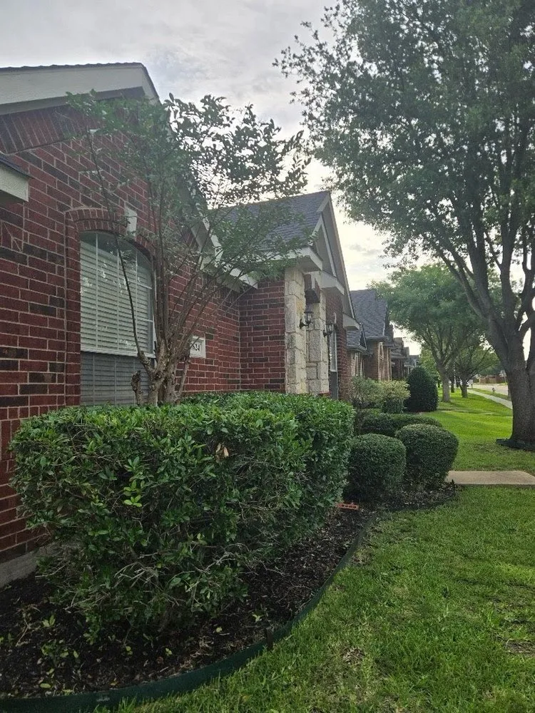 Local landscaping services in Dallas, TX - Texas Sage Landscaping & Lawn