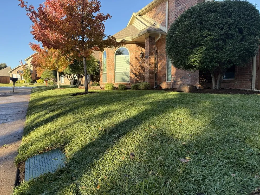 Custom outdoor landscaping in Dallas, TX by Texas Sage Landscaping & Lawn