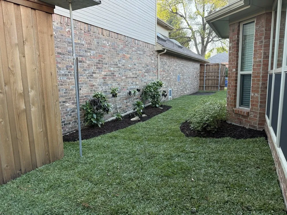 Expert lawn care service for year-round maintenance in Dallas, TX by Texas Sage Landscaping & Lawn