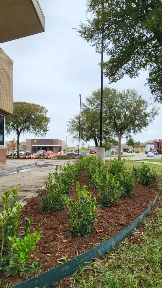 Reliable lawn care service for homes in Dallas, TX by Texas Sage Landscaping & Lawn