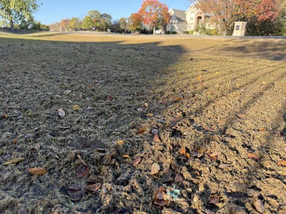 Reliable yard maintenance experts serving Weatherford, TX - Texas Select Landscape