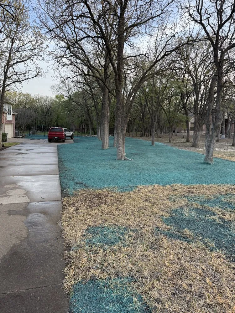 Local garden landscaping for year-round maintenance across Weatherford, TX - Texas Select Landscape