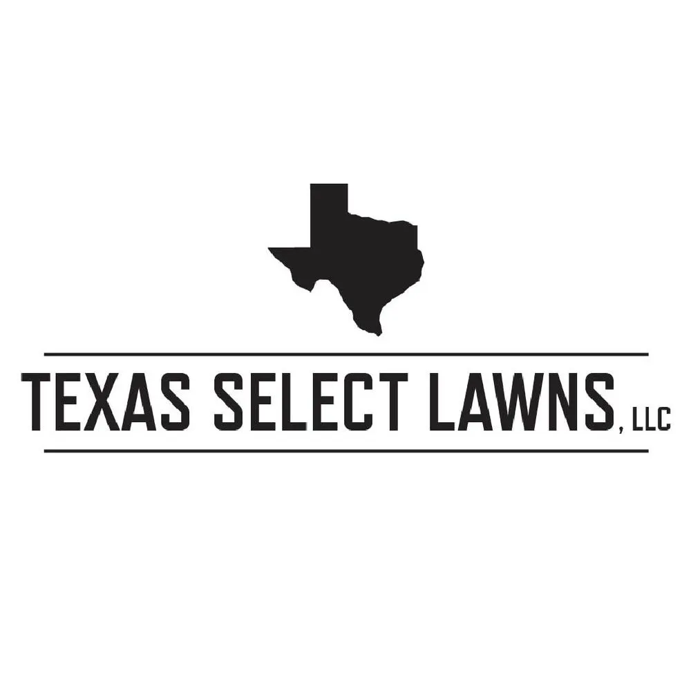 Expert yard maintenance for homes in San Antonio, TX by Texas Select Lawns