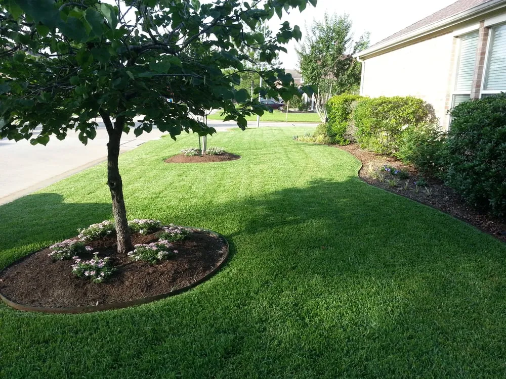 Reliable landscape design experts serving Houston, TX - Texas Serene Lawn and Landscaping