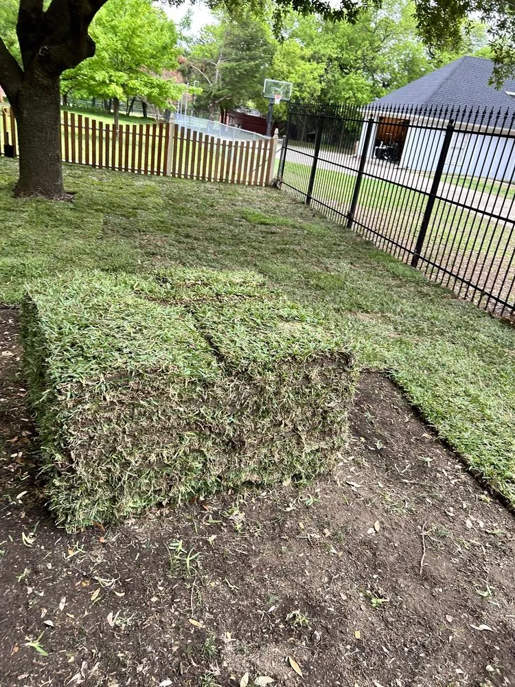 Trusted yard cleanup service in DeSoto, TX - Texas Sod and Drainage
