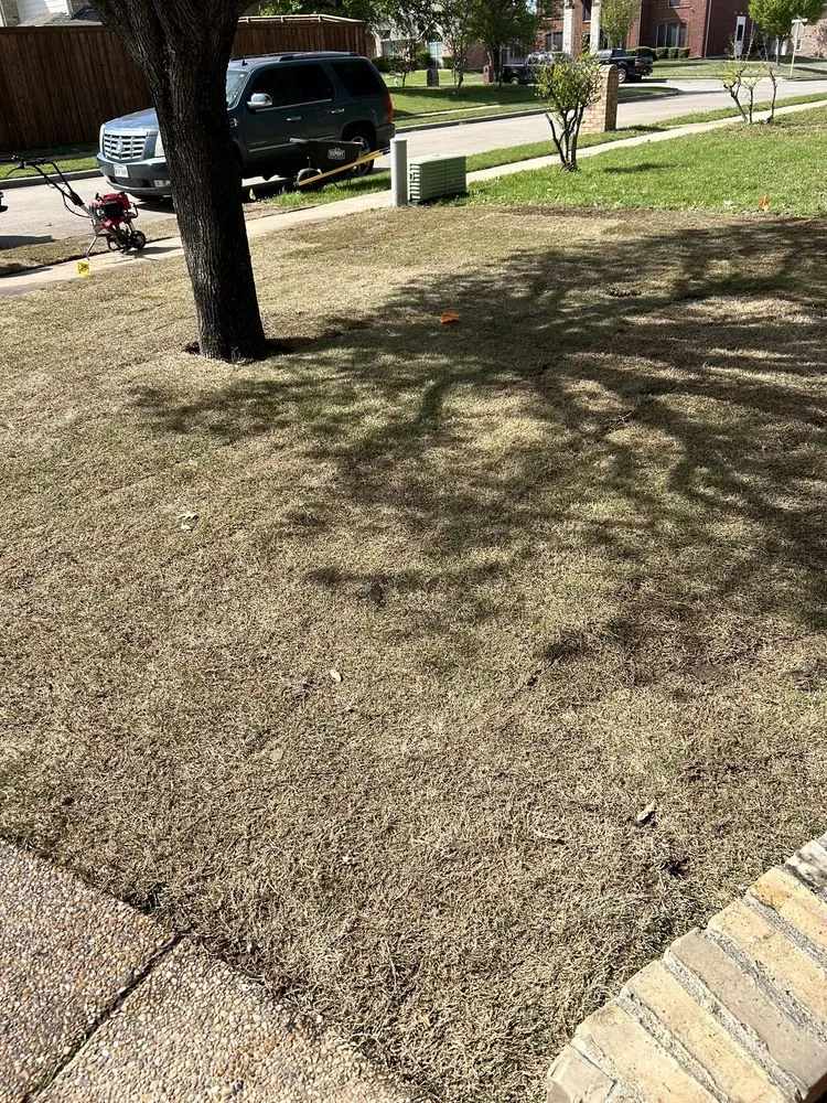 Trusted lawn care service experts serving DeSoto, TX - Texas Sod and Drainage