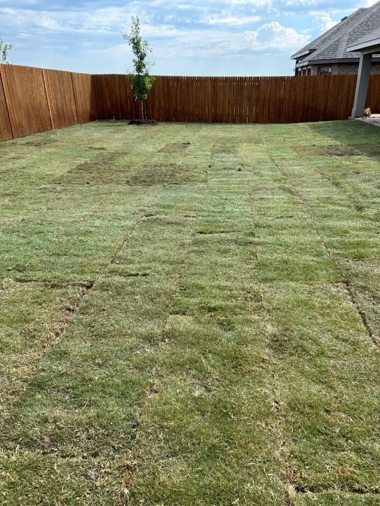 Trusted lawn care service for homes across DeSoto, TX - Texas Sod and Drainage