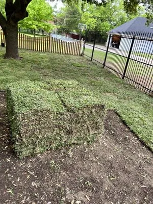 Texas Sod and Drainage