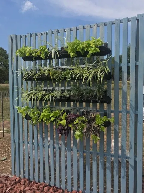 Expert landscape design for beautiful yards in Cedar Park, TX by Texas Sprinkler Landscape Irrigation