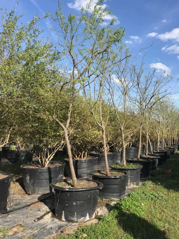 Custom yard maintenance in Cedar Park, TX - Texas Sprinkler Landscape Irrigation