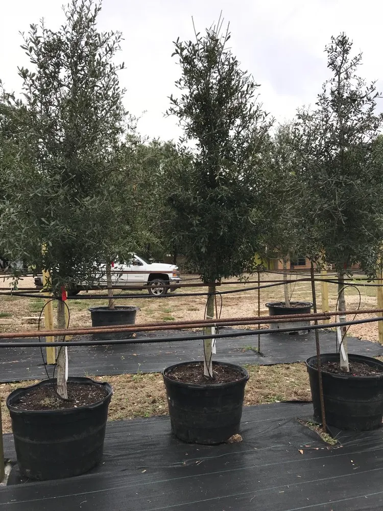 Professional yard cleanup service for beautiful yards across Cedar Park, TX - Texas Sprinkler Landscape Irrigation