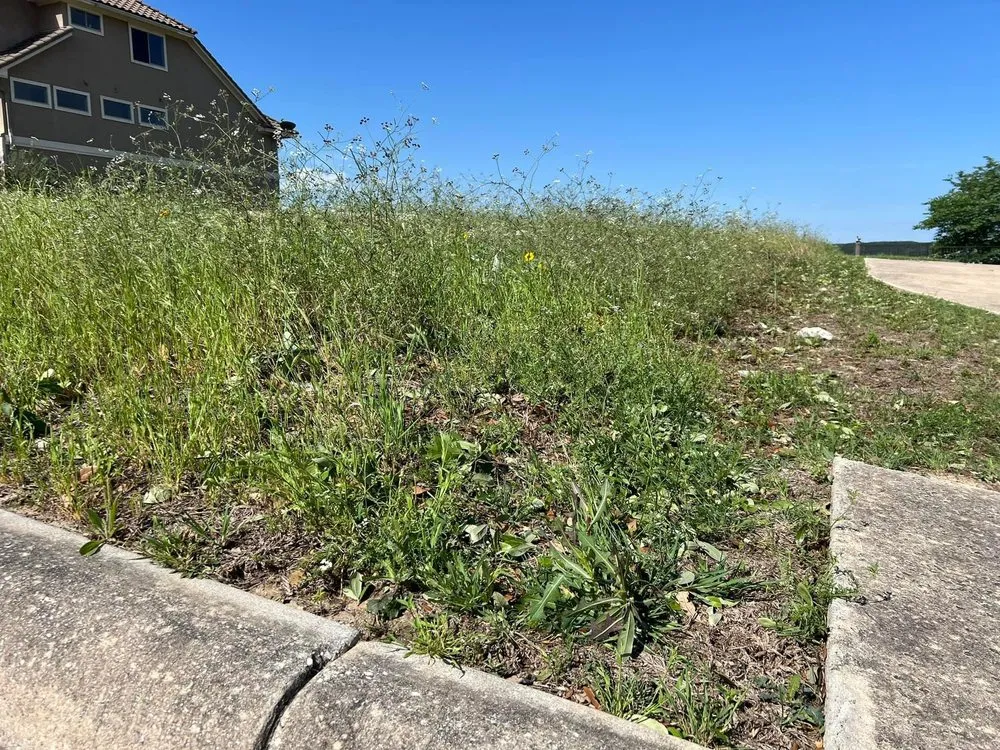 Professional landscaping services near you in Schertz, TX by Texas Star Mowing Services