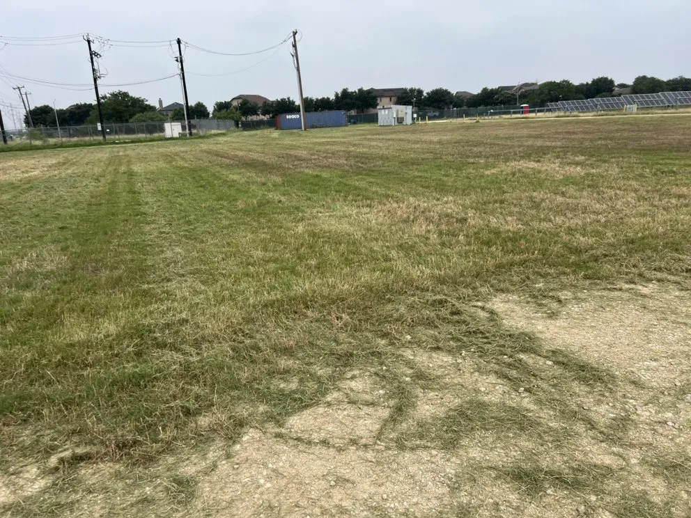 Top-rated yard maintenance for outdoor upgrades across Schertz, TX - Texas Star Mowing Services