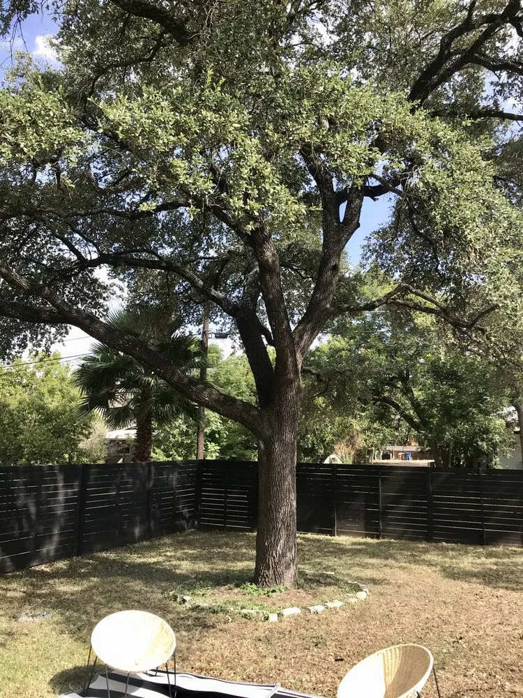 Professional lawn care service in Fredericksburg, TX - Texas Stripes Landscape and Lawn Care