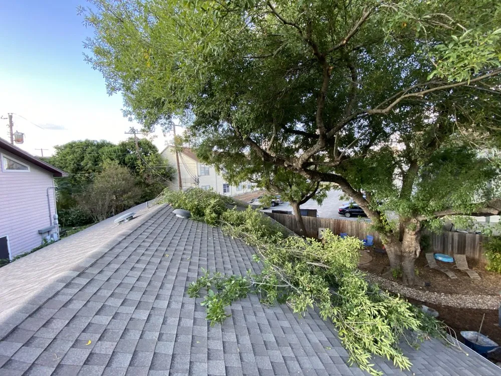 Trusted lawn care service experts serving Fredericksburg, TX - Texas Stripes Landscape and Lawn Care