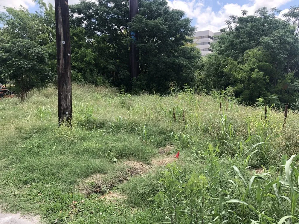 Expert landscape design experts serving Fredericksburg, TX - Texas Stripes Landscape and Lawn Care