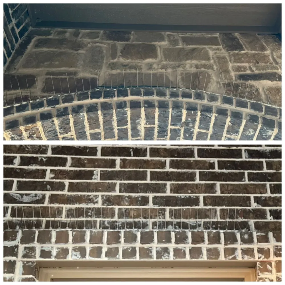 Expert yard cleanup service experts serving Midlothian, TX - Texas T Exterior Services