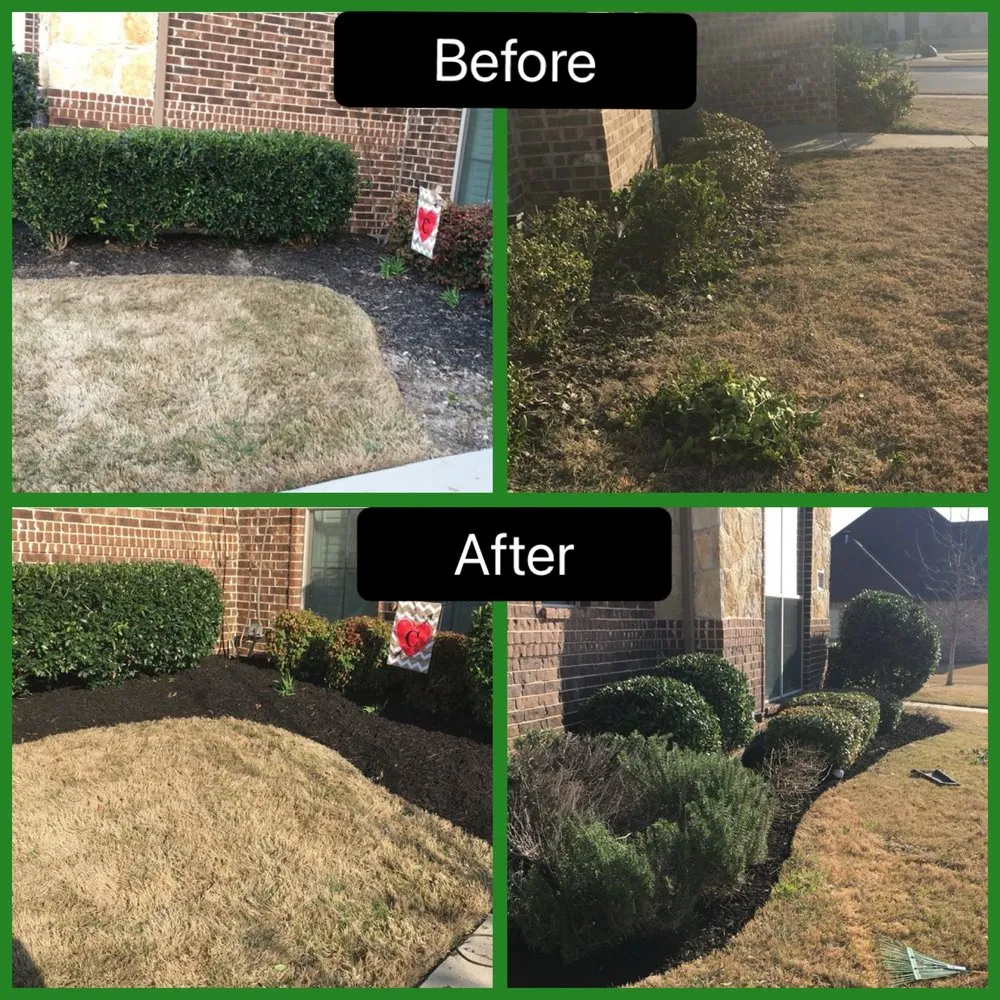 Trusted yard cleanup service for homes across Midlothian, TX - Texas T Exterior Services