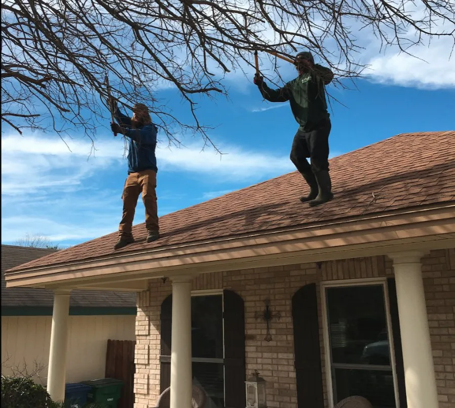 Reliable landscaping services in San Antonio, TX - Texas Terrain Lawn Care