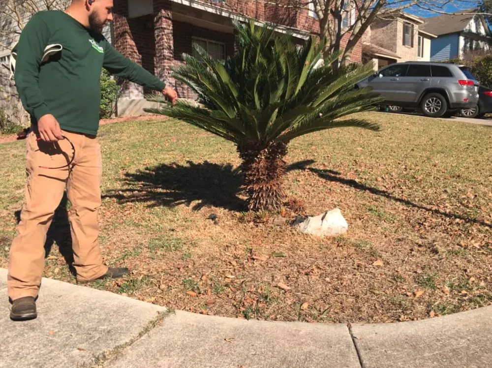 Professional residential landscaping in San Antonio, TX by Texas Terrain Lawn Care