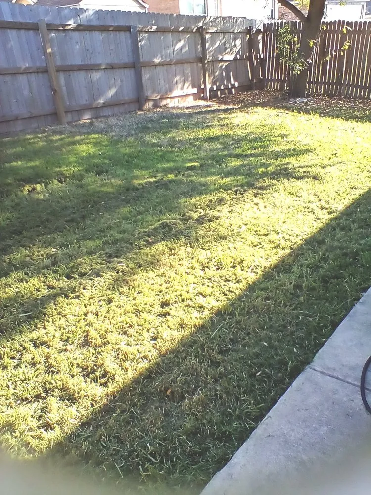 Custom outdoor landscaping for homes in San Antonio, TX by Texas Terrain Lawn Care