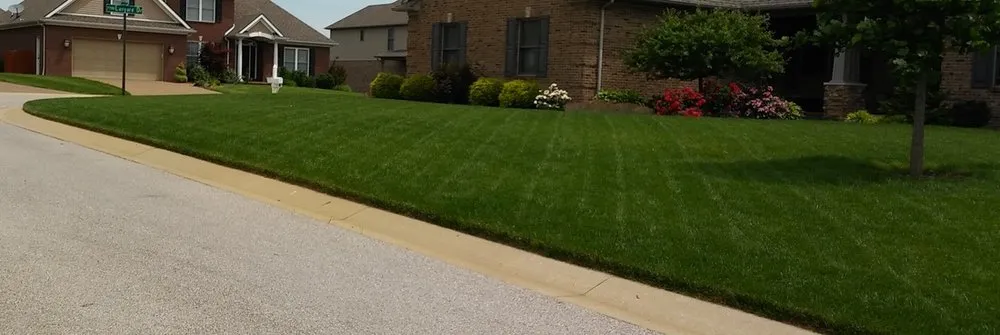 Custom lawn care service for beautiful yards across San Antonio, TX - Texas Terrain Lawn Care