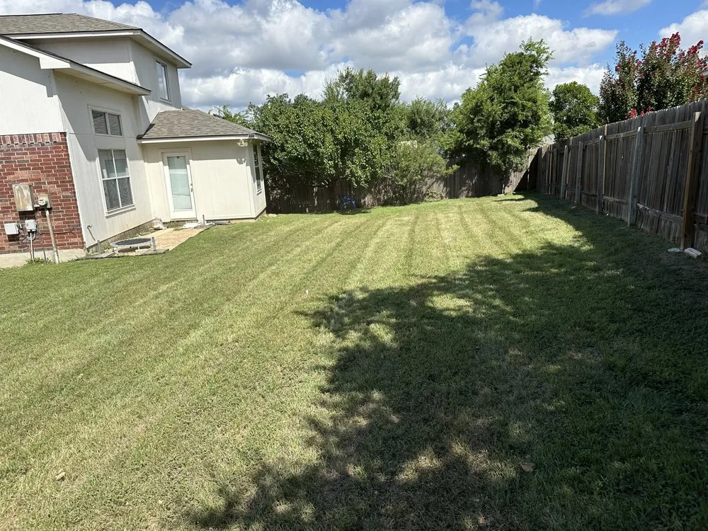 Expert yard cleanup service for residential properties in Round Rock, TX by Texas Tough Lawn & Landscaping
