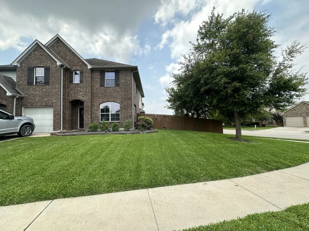 Reliable outdoor landscaping for year-round maintenance in Round Rock, TX by Texas Tough Lawn & Landscaping