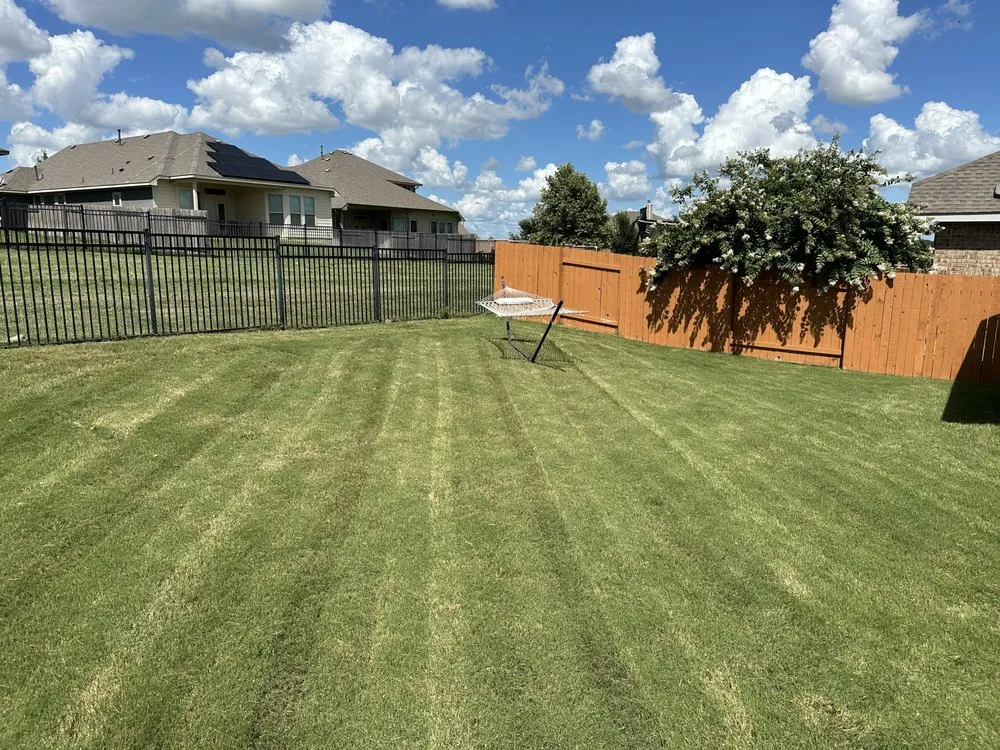 Top-rated lawn care service in Round Rock, TX - Texas Tough Lawn & Landscaping