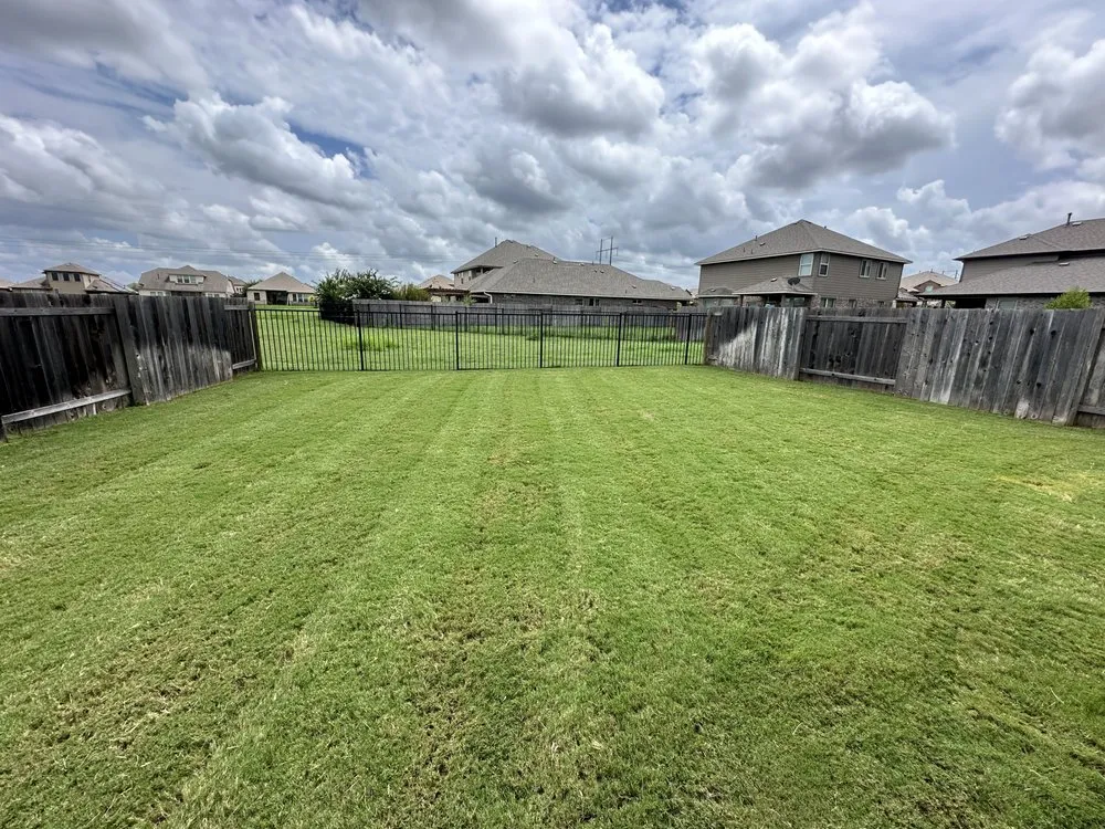 Affordable yard cleanup service for residential properties across Round Rock, TX - Texas Tough Lawn & Landscaping