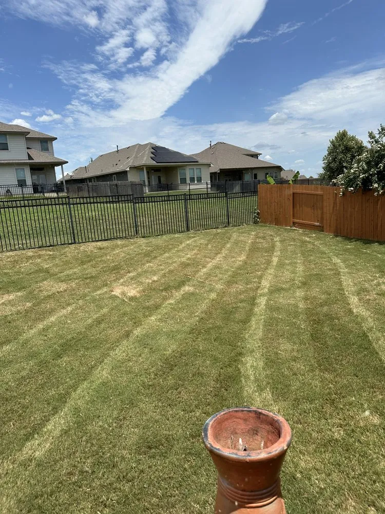 Local lawn care service for homes across Round Rock, TX - Texas Tough Lawn & Landscaping