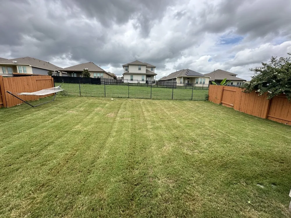 Local yard cleanup service experts serving Round Rock, TX - Texas Tough Lawn & Landscaping