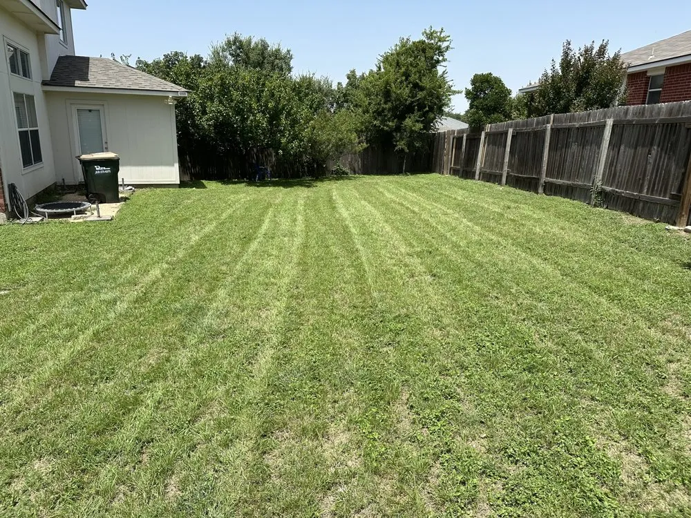 Reliable landscape installation for outdoor upgrades across Round Rock, TX - Texas Tough Lawn & Landscaping