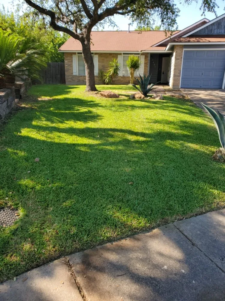 Top-rated yard maintenance in San Antonio, TX by Texas Tradition Landscaping